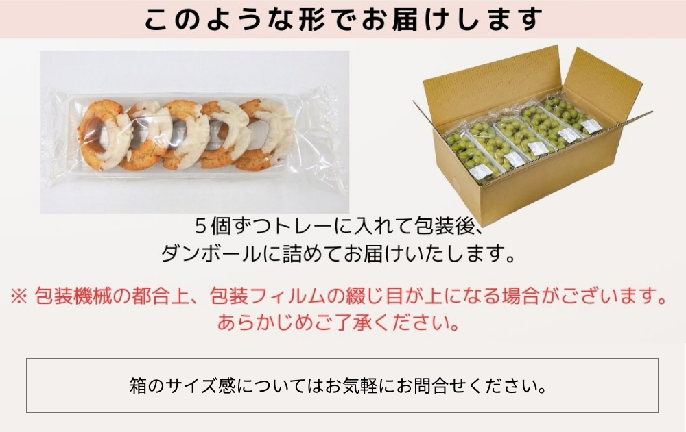 概要