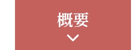 概要